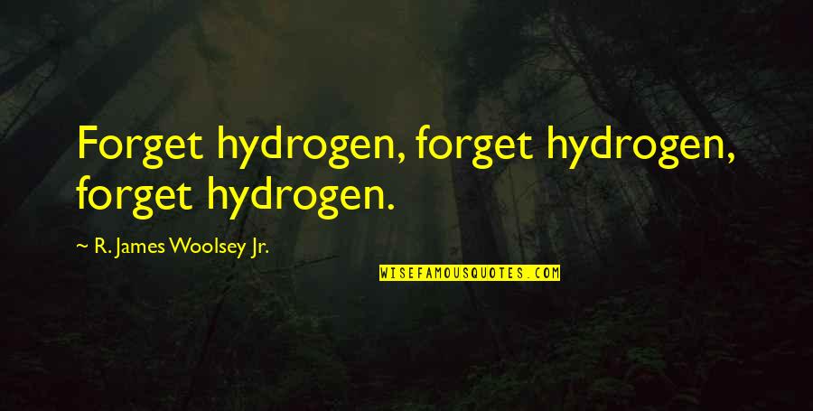 Change Brings Success Quotes By R. James Woolsey Jr.: Forget hydrogen, forget hydrogen, forget hydrogen.