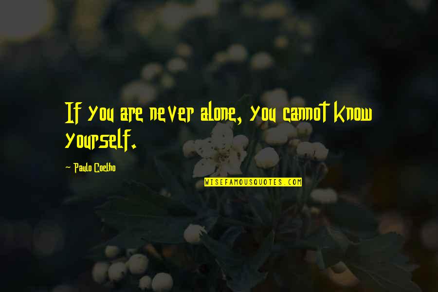 Change Drake Quotes By Paulo Coelho: If you are never alone, you cannot know Change Drake Quotes By Paulo Coelho: If you are never alone, you cannot know