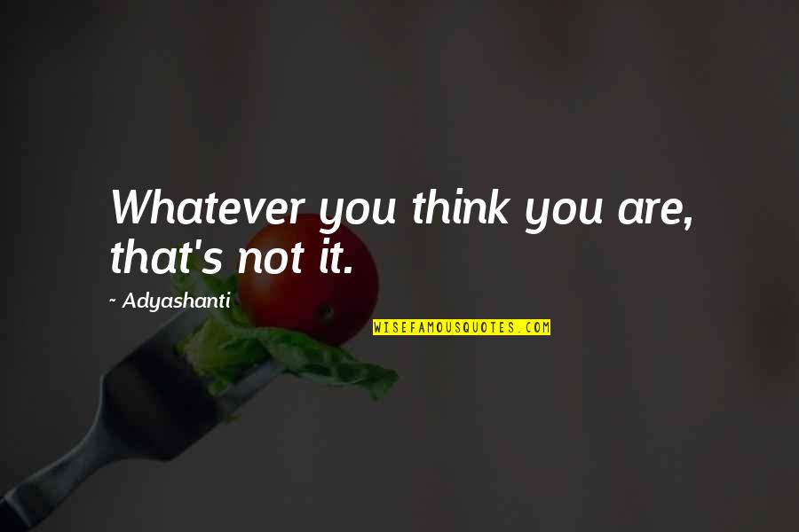 Change For The Better Pinterest Quotes By Adyashanti: Whatever you think you are, that's not it.