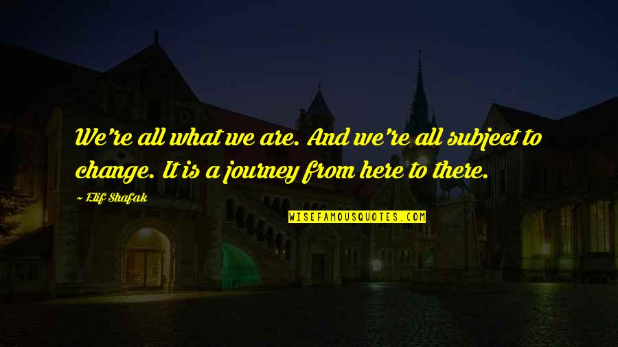 Change From Quotes By Elif Shafak: We're all what we are. And we're all
