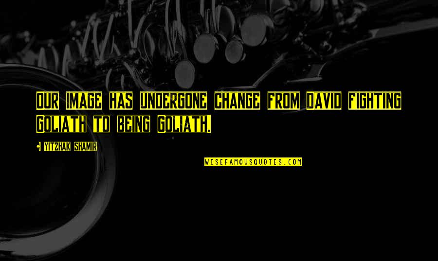 Change Image Quotes By Yitzhak Shamir: Our image has undergone change from David fighting