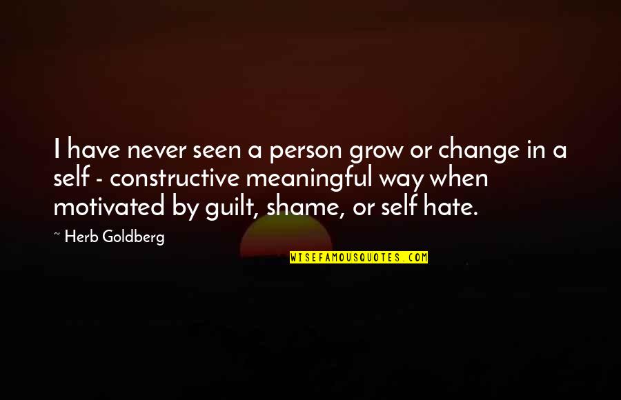 Change In A Person Quotes By Herb Goldberg: I have never seen a person grow or