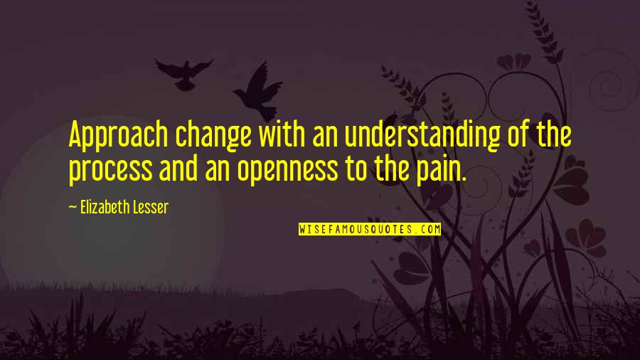 Change Pain Quotes By Elizabeth Lesser: Approach change with an understanding of the process Change Pain Quotes By Elizabeth Lesser: Approach change with an understanding of the process