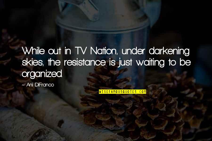 Change Resistance Quotes By Ani DiFranco: While out in TV Nation, under darkening skies,