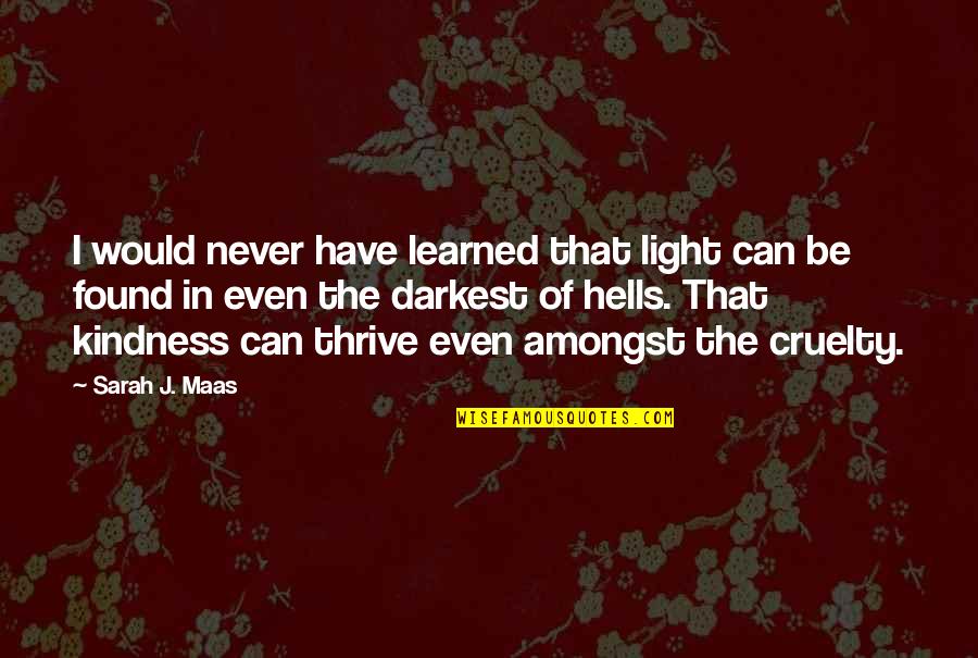 Change Search Quotes Quotes By Sarah J. Maas: I would never have learned that light can Change Search Quotes Quotes By Sarah J. Maas: I would never have learned that light can