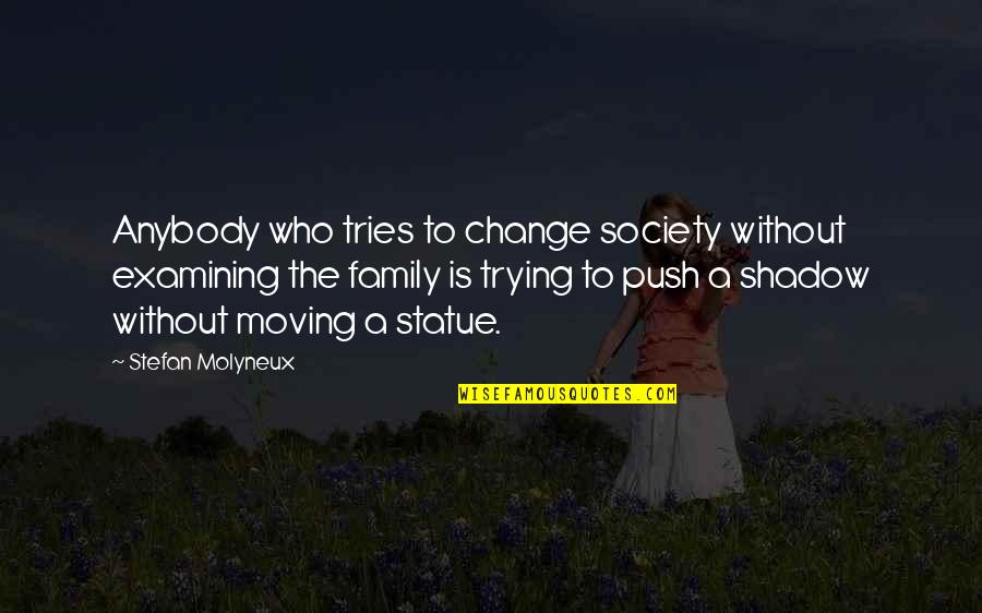 Change Society Quotes By Stefan Molyneux: Anybody who tries to change society without examining