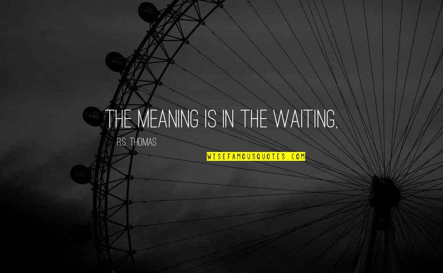 Change The Paradigm Quotes By R.S. Thomas: The meaning is in the waiting,