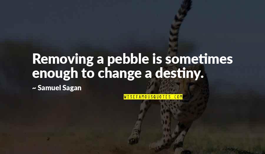 Change To Quotes By Samuel Sagan: Removing a pebble is sometimes enough to change