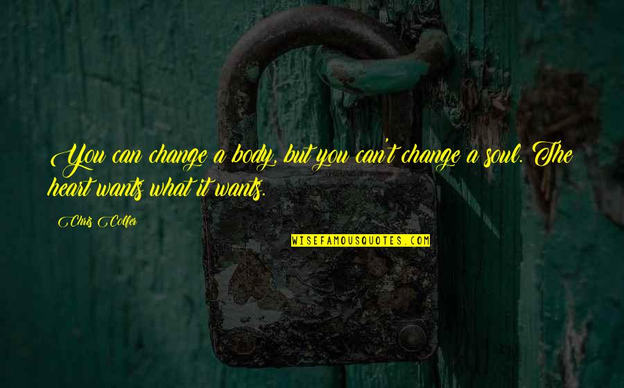 Change What You Can Quotes By Chris Colfer: You can change a body, but you can't