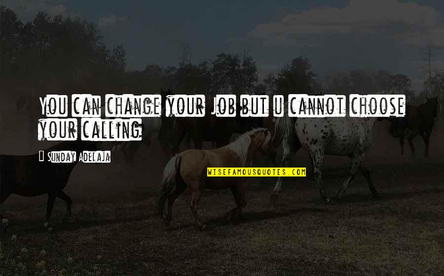 Change Your Job Quotes By Sunday Adelaja: You can change your Job but u cannot