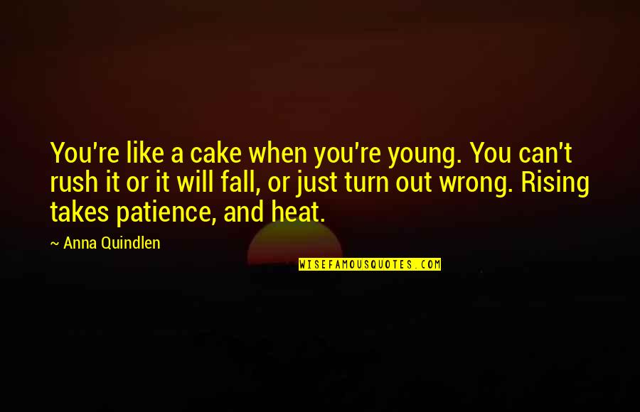 Changement Heure Quotes By Anna Quindlen: You're like a cake when you're young. You