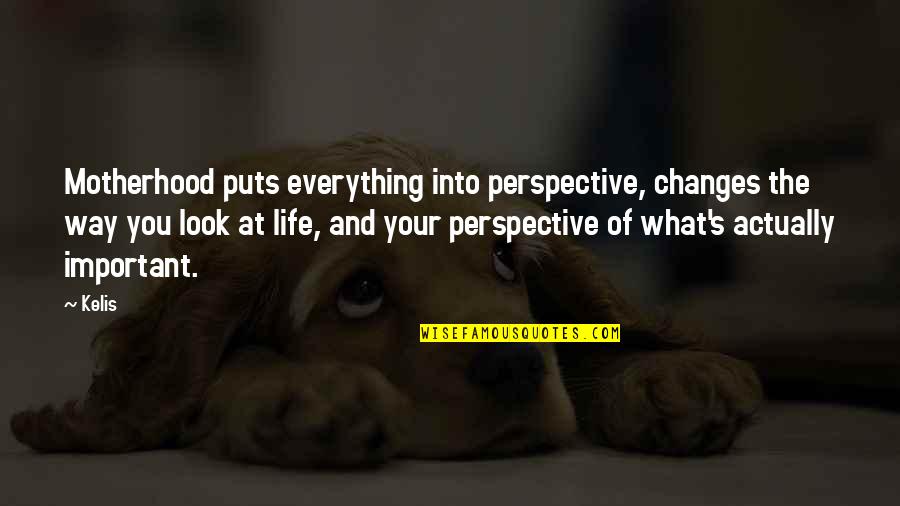 Changes Of Life Quotes By Kelis: Motherhood puts everything into perspective, changes the way Changes Of Life Quotes By Kelis: Motherhood puts everything into perspective, changes the way