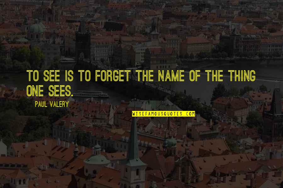 Changing From Good To Bad Quotes By Paul Valery: To see is to forget the name of