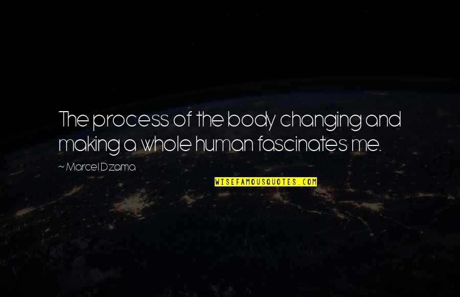 Changing From Human Quotes By Marcel Dzama: The process of the body changing and making