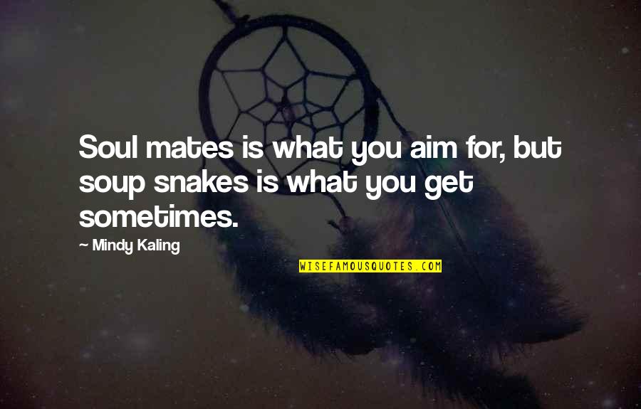 Changing Someone Else Quotes By Mindy Kaling: Soul mates is what you aim for, but