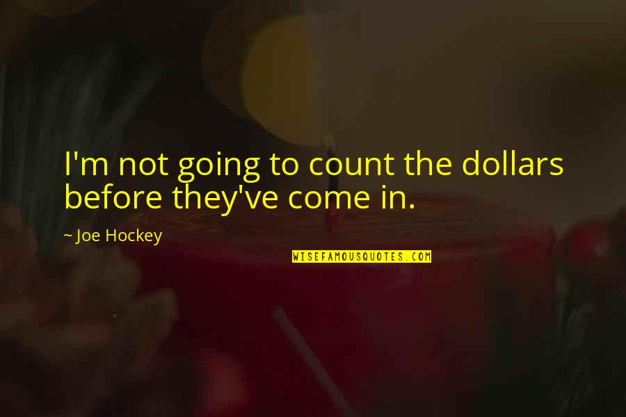 Changing The Constitution Quotes By Joe Hockey: I'm not going to count the dollars before