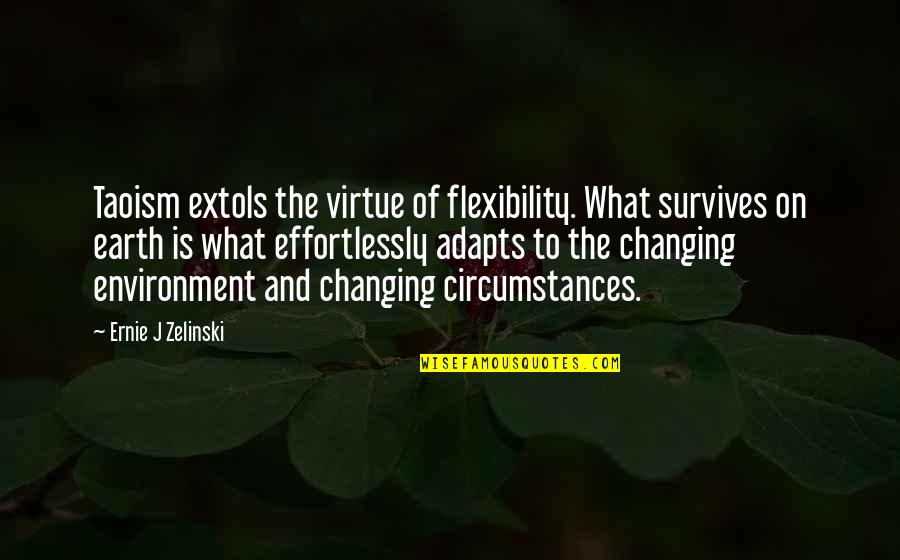 Changing The Environment Quotes By Ernie J Zelinski: Taoism extols the virtue of flexibility. What survives