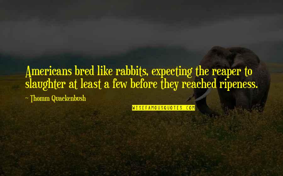 Changing The Way You Feel Quotes By Thomm Quackenbush: Americans bred like rabbits, expecting the reaper to