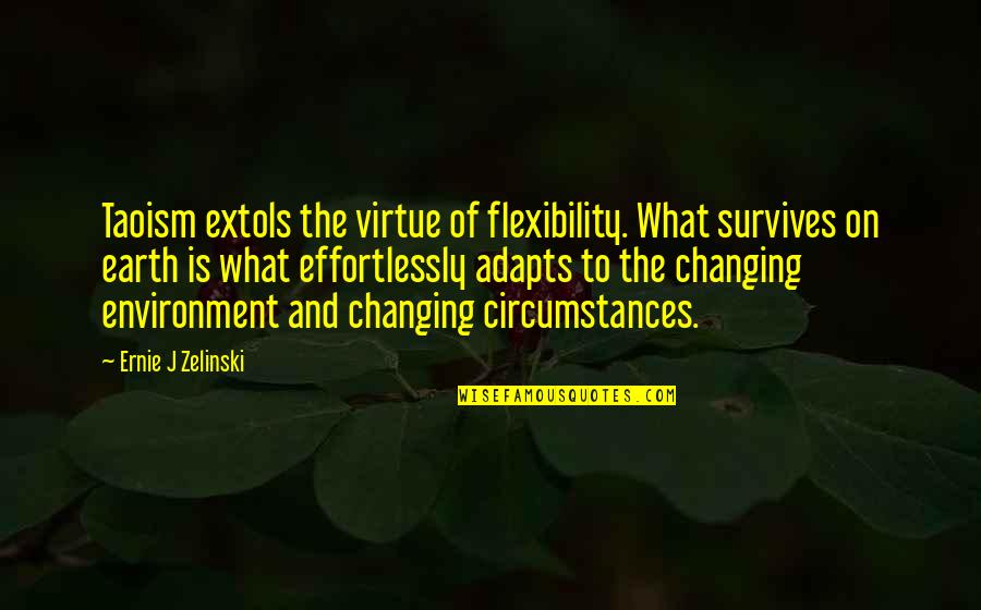 Changing Your Circumstances Quotes By Ernie J Zelinski: Taoism extols the virtue of flexibility. What survives