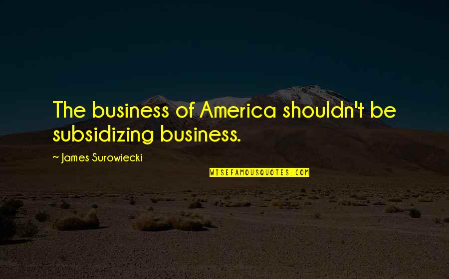 Changing Your Way Of Thinking Quotes By James Surowiecki: The business of America shouldn't be subsidizing business.