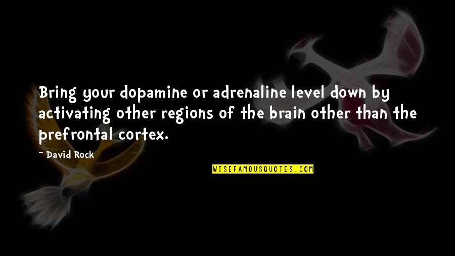 Changiz Alizadeh Quotes By David Rock: Bring your dopamine or adrenaline level down by Changiz Alizadeh Quotes By David Rock: Bring your dopamine or adrenaline level down by