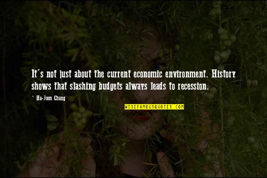 Chang's Quotes By Ha-Joon Chang: It's not just about the current economic environment.