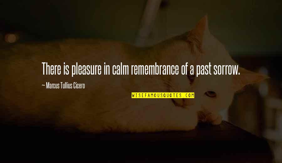 Channel Firing Quotes By Marcus Tullius Cicero: There is pleasure in calm remembrance of a