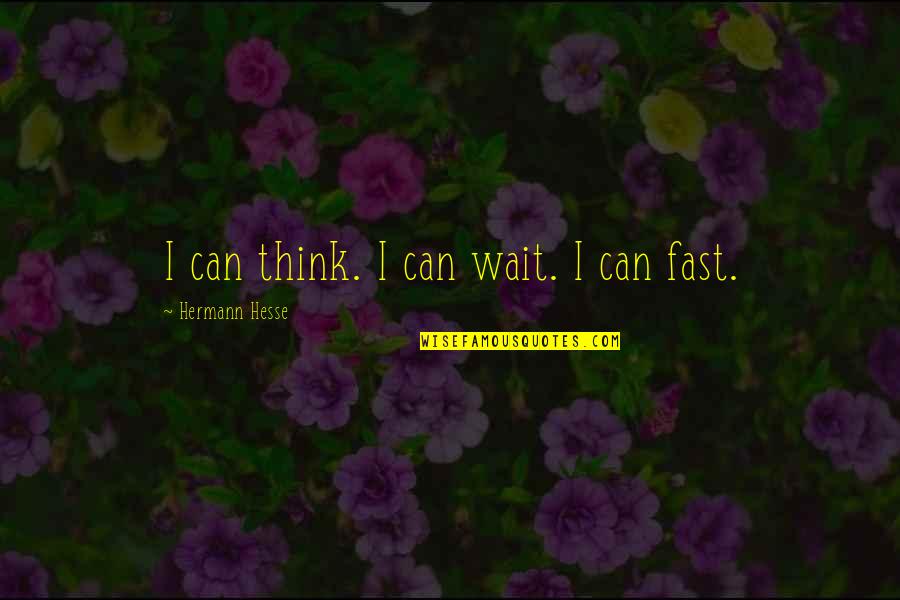 Channelizing Streams Quotes By Hermann Hesse: I can think. I can wait. I can