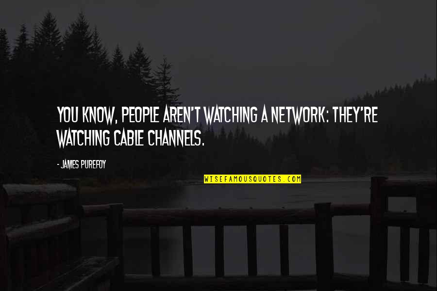 Channels Quotes By James Purefoy: You know, people aren't watching a network: they're