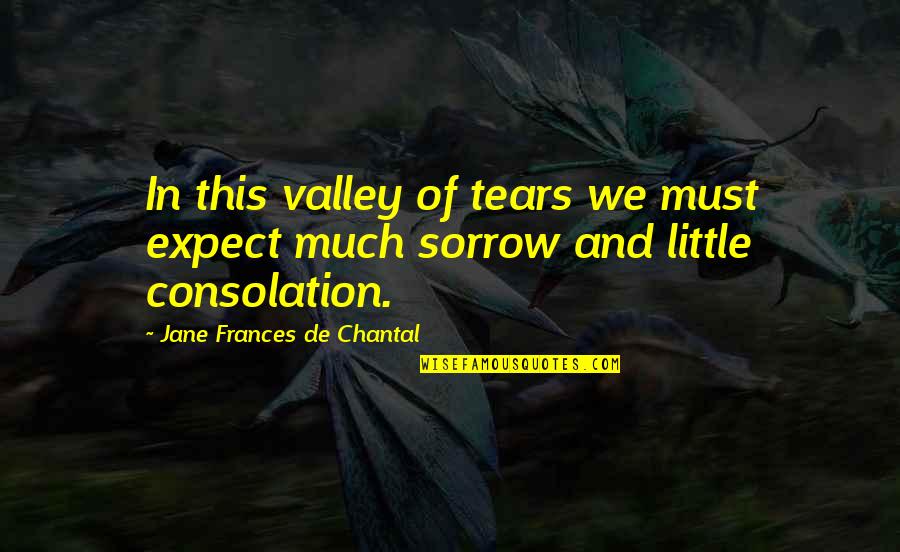 Chantal's Quotes By Jane Frances De Chantal: In this valley of tears we must expect