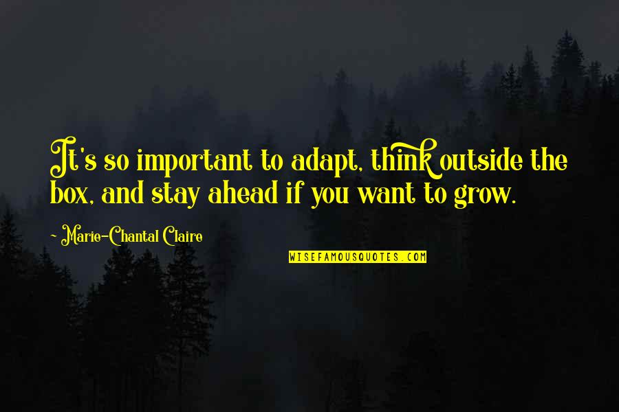 Chantal's Quotes By Marie-Chantal Claire: It's so important to adapt, think outside the