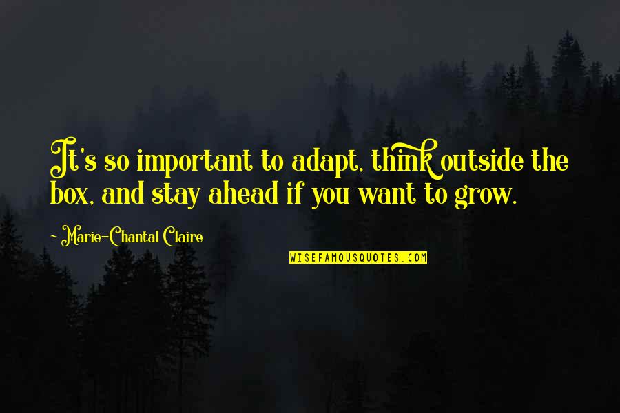 Chantal's Quotes By Marie-Chantal Claire: It's so important to adapt, think outside the Chantal's Quotes By Marie-Chantal Claire: It's so important to adapt, think outside the