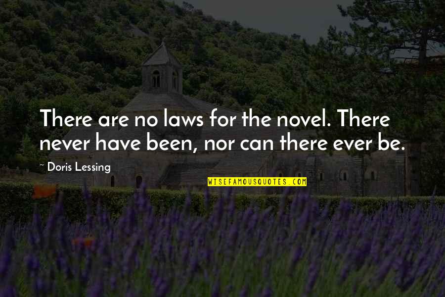 Chanterelle Soup Quotes By Doris Lessing: There are no laws for the novel. There