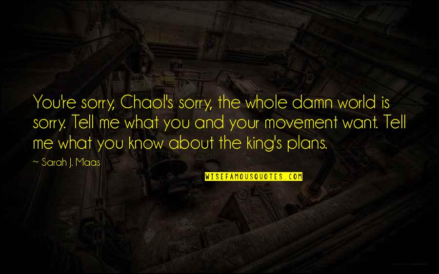 Chaol's Quotes By Sarah J. Maas: You're sorry, Chaol's sorry, the whole damn world