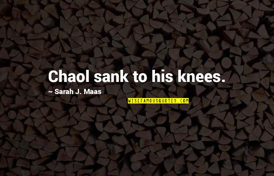 Chaol's Quotes By Sarah J. Maas: Chaol sank to his knees.