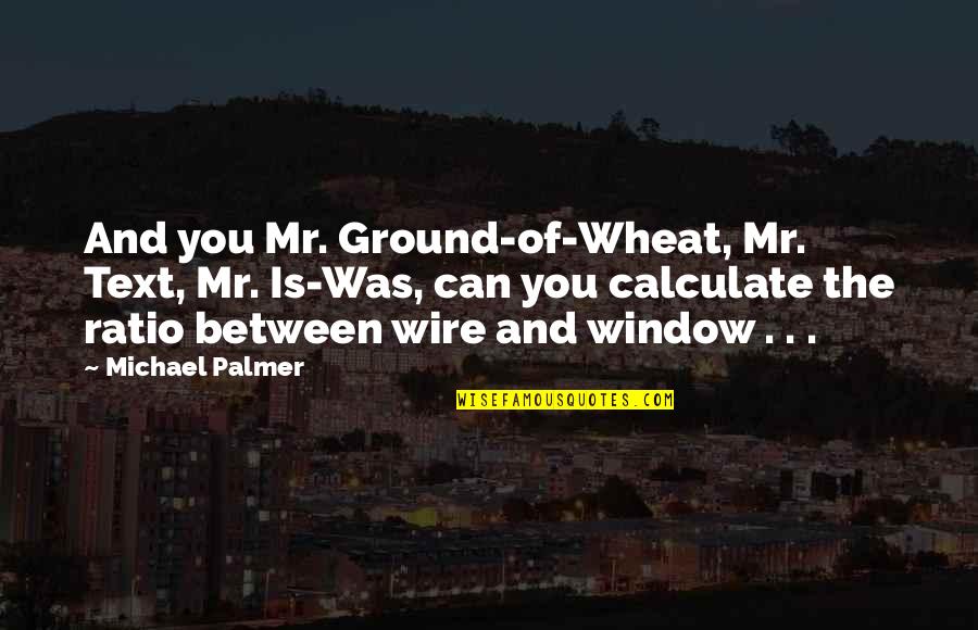Chaos And Calm Quotes By Michael Palmer: And you Mr. Ground-of-Wheat, Mr. Text, Mr. Is-Was,