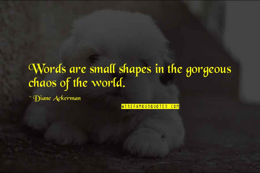 Chaos In The World Quotes By Diane Ackerman: Words are small shapes in the gorgeous chaos