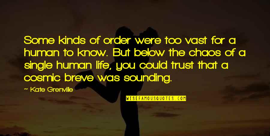 Chaos Of Life Quotes By Kate Grenville: Some kinds of order were too vast for Chaos Of Life Quotes By Kate Grenville: Some kinds of order were too vast for