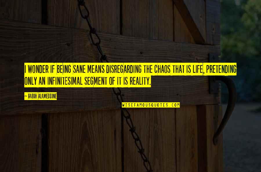 Chaos Of Life Quotes By Rabih Alameddine: I wonder if being sane means disregarding the Chaos Of Life Quotes By Rabih Alameddine: I wonder if being sane means disregarding the