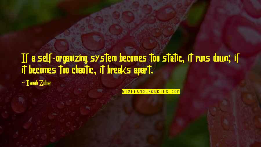 Chaotic Quotes By Danah Zohar: If a self-organizing system becomes too static, it Chaotic Quotes By Danah Zohar: If a self-organizing system becomes too static, it
