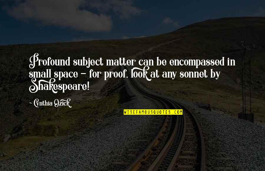 Chapa De Quotes By Cynthia Ozick: Profound subject matter can be encompassed in small