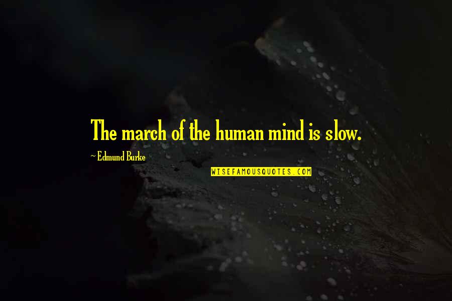 Chapelles In Turkey Quotes By Edmund Burke: The march of the human mind is slow.
