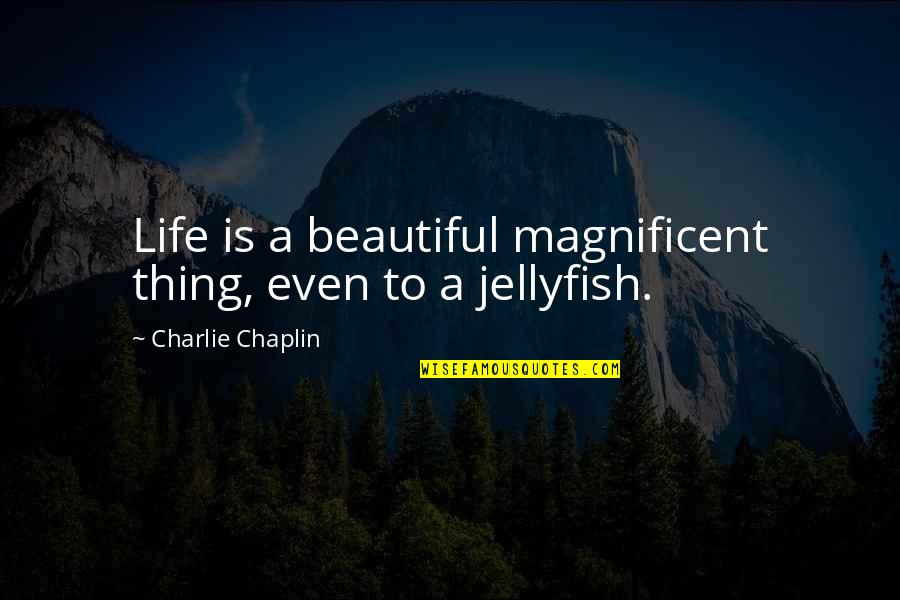 Chaplin's Quotes By Charlie Chaplin: Life is a beautiful magnificent thing, even to