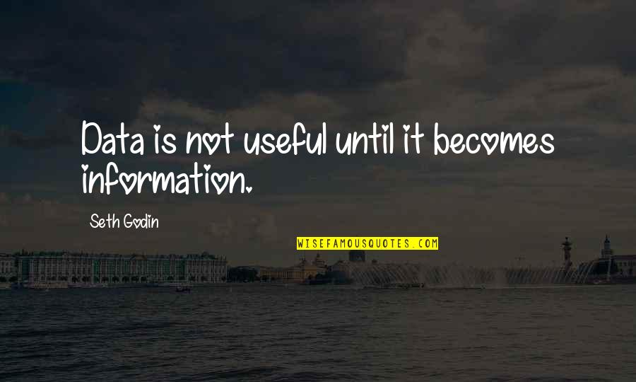 Chapter 13 Quotes By Seth Godin: Data is not useful until it becomes information.
