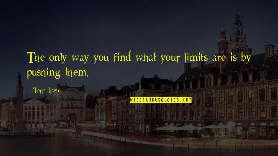 Chapterhouse Band Quotes By Terri Irwin: The only way you find what your limits