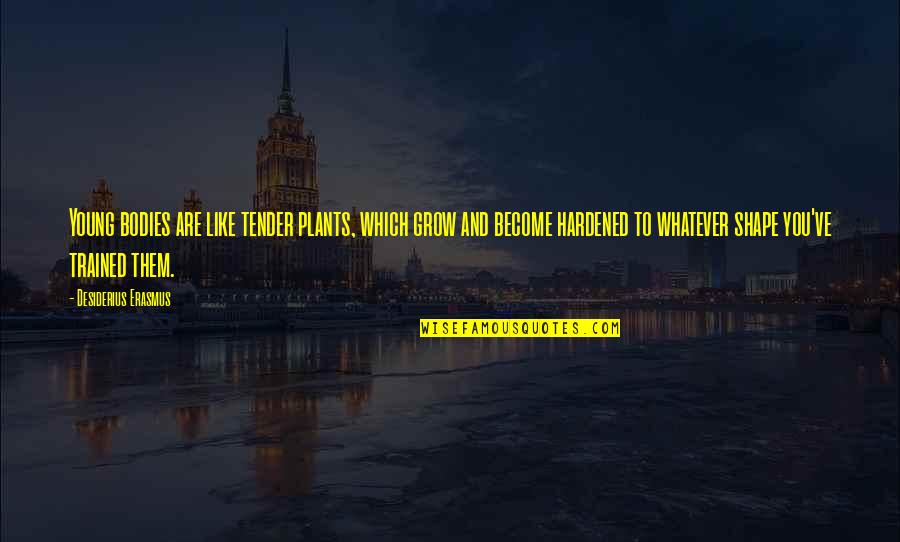 Character Building Quotes By Desiderius Erasmus: Young bodies are like tender plants, which grow