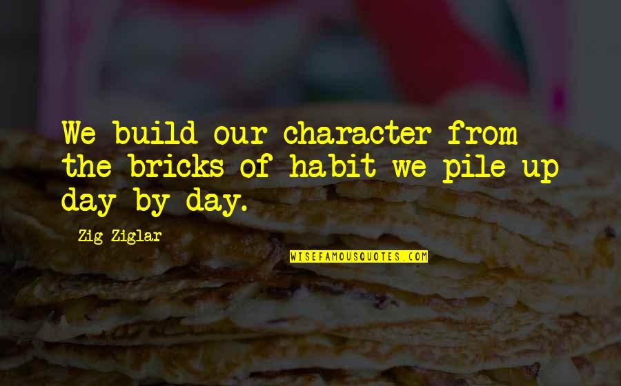 Character Day Quotes By Zig Ziglar: We build our character from the bricks of