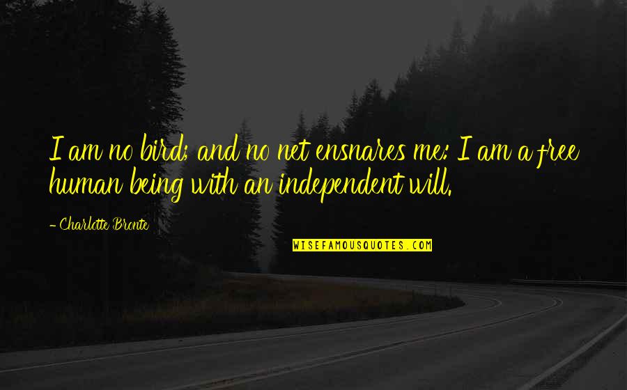 Character Flaws Quotes By Charlotte Bronte: I am no bird; and no net ensnares