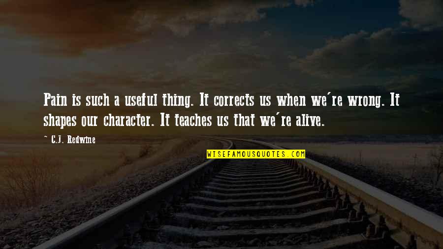 Character Life Quotes By C.J. Redwine: Pain is such a useful thing. It corrects