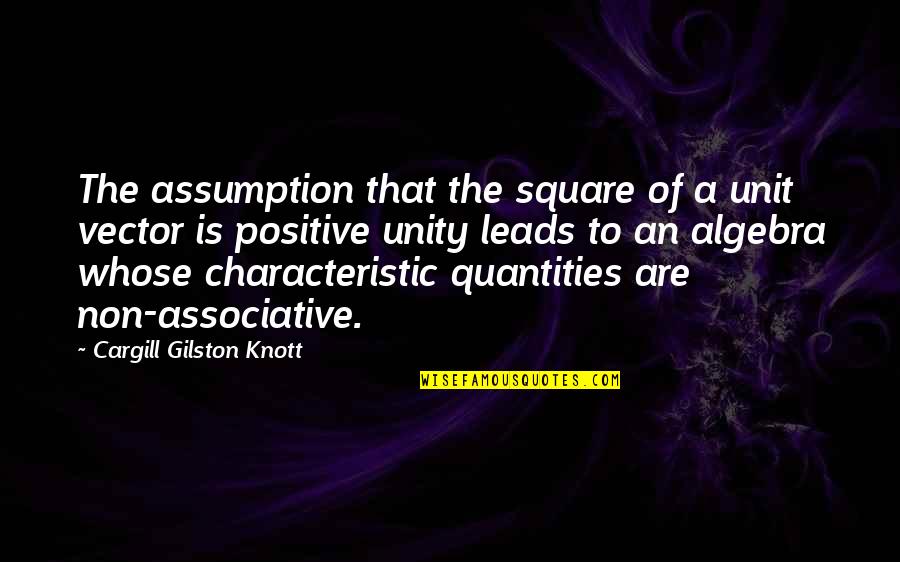 Characteristic Quotes By Cargill Gilston Knott: The assumption that the square of a unit